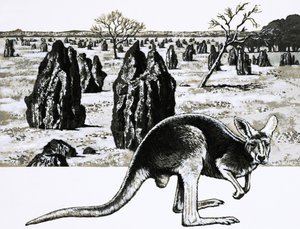 Grote termietenheuvels bij Darwin, Australië, en een kangoeroe op de voorgrond door English School