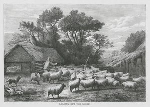 De schapen uitgeleide doen (gravure) door English School