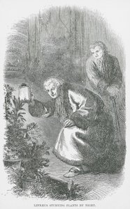 Linnaeus bestudeert planten bij nacht (gravure)