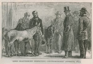 Lord Shaftesbury inspecteert de ezels van de straatverkopers
