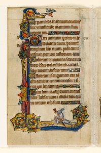MS 1-2005, fol. 115v: Een konijn dat op een hond rijdt, jacht, marginaal decor uit de Macclesfield Psalter, Gebruik van Sarum, Oost-Anglia, c.1330 door English School