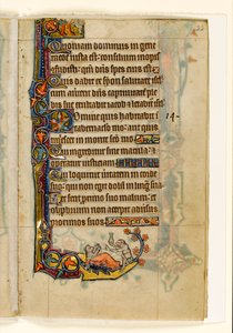 MS 1-2005, fol. 22r: De aap-dokter en zijn beer-patiënt, marginaal decor uit de Macclesfield Psalter, Gebruik van Sarum, Oost-Anglia, c.1330 door English School