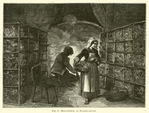 Magnanerie, of kweekhuis door English School