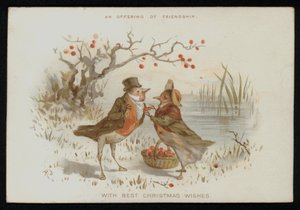 Mannelijke en vrouwelijke roodborstjes in kostuum. Kerstkaart.