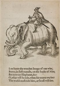 Man die op een olifant rijdt, illustratie uit 