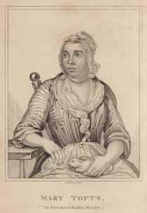 Mary Tofts, De Voorgewende Konijnenfokker door English School