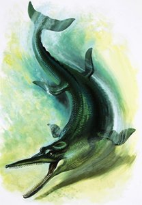 Metriorhynchus door English School