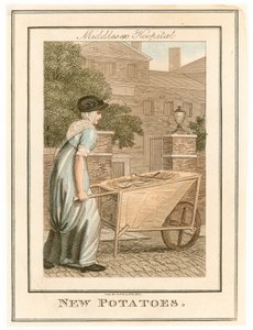 Middlesex Hospital. Nieuwe aardappelen