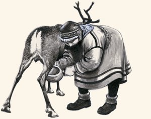 Een rendier melken