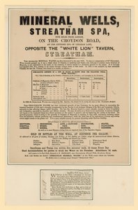 Minerale Bronnen of Streatham Spa door English School