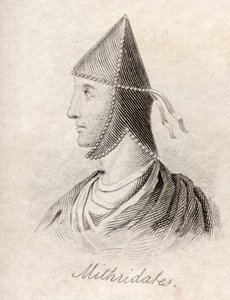 Mithridates VI, uit 