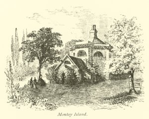 Apen Eiland door English School
