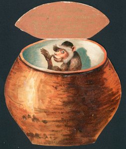 Aap in Pot