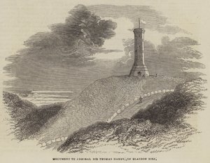 Monument voor admiraal Sir Thomas Hardy, op Blagdon Hill