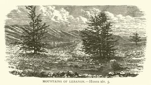 Bergen van Libanon, Hosea, xiv, 5 (gravure)