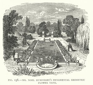 De sierlijke geometrische bloementank van meneer Noel Humphrey (gravure)