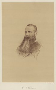 De heer T Nickalls (litho)