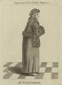 De heer Voltaire