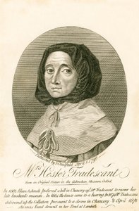 Mevrouw Hester Tradescant door English School