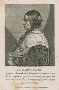 Mevrouw Mary Davis van Great Saughall bij Chester, 1668