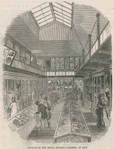 Museum in de Koninklijke Botanische Tuinen, in Kew
