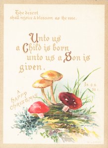 Paddenstoelen, kerstkaart door English School
