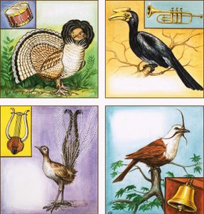 Muziekinstrument Vogels door English School