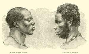 Inboorling van de Gabon; Tau-type van Kruman door English School
