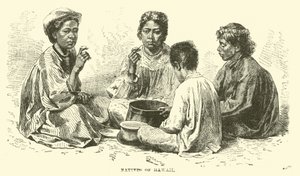 Inboorlingen van Hawaï