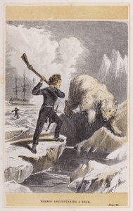 Nelson ontmoet een beer (gekleurde gravure)