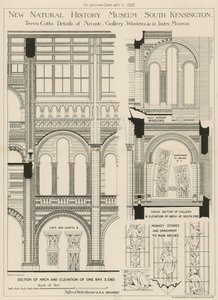 Nieuw Natuurhistorisch Museum, South Kensington, Londen door English School