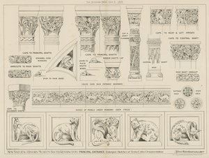 Nieuw Natuurhistorisch Museum, South Kensington, Londen door English School