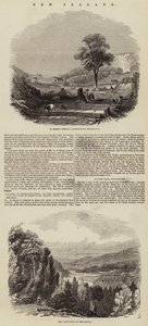 Nieuw-Zeeland (gravure) door English School
