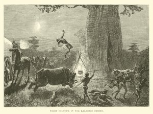 Nachtelijke verrassing in de Kalahari-woestijn door English School
