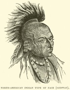 Noord-Amerikaans indiaans gezichtstype, Ojibway door English School