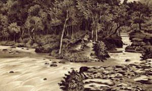 Noord-Devon: "The Watersmeet", Lynmouth