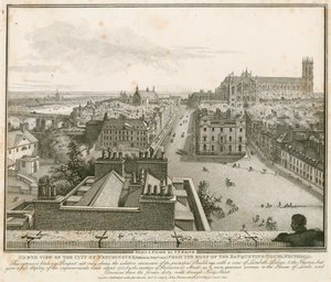Noordelijk uitzicht op Westminster vanaf het dak van The Banqueting House, Whitehall door English School