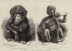 Nieuwigheden in de dierentuin (gravure)