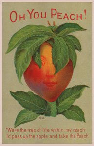 O jij perzik! (kleur litho) door English School