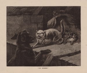 "Oude vijanden" (gravure) door English School