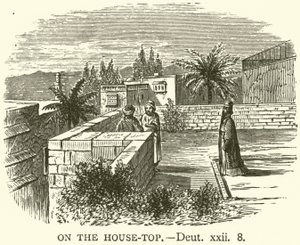 Op het Dak, Deuteronomium, xxii, 8 (gravure)