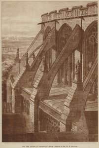 Op de daken in Norwich (gravure) door English School
