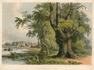Op de rivier de Theems, nabij Putney, Londen