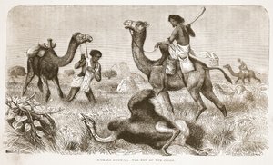 Struisvogeljacht - het einde van de achtervolging, illustratie uit De Geïllustreerde Editie van het Leven en de Ontdekkingen van David Livingstone door J. Ewing Richie, uitgegeven door A. Fullarton & Co., 1876 door English School