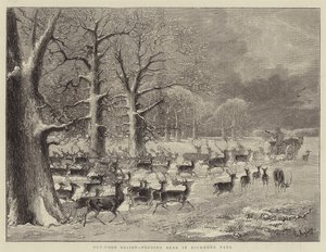 Buitenhulp, herten voeren in Richmond Park (gravure) door English School