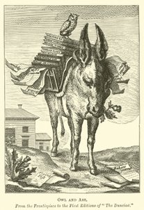 Uil en ezel