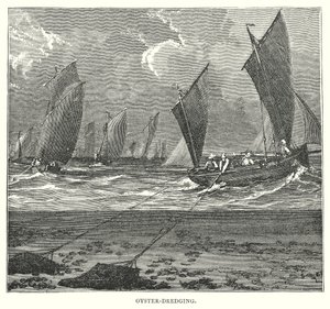 Oyster-Dredging (engraving) door English School