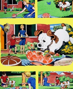 Paddy Paws door English School