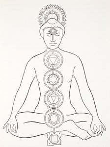 Padmasana of lotushouding door English School