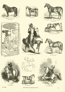 Pagina uit Het Picturale Museum van Geanimeerde Natuur door English School